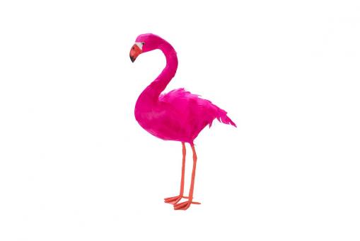 Flamingo stehend Sunshine State Hot Berry S