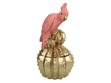 Box Parrot, Farbe Pink 